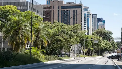Moema: o bairro que combina qualidade de vida, mobilidade e sofisticação